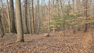 Lot 60 Cherrywood Ln, Moneta, VA 24121