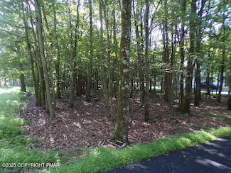 LIII712 Juniper Ln, Indian Mountain Lake, PA 18210