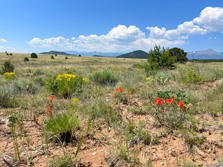 000 Corral N, Cotopaxi, CO 81223