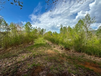 Tbd Edith Gouge Rd Unit LotWP001, Unicoi, TN 37692