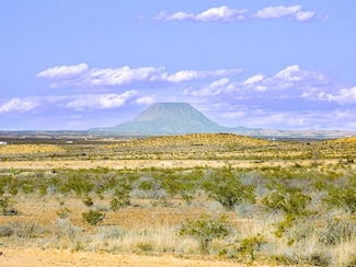 15745 Fort Concho Dr, Terlingua, TX 79852