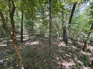 0 Big Creek Rd Unit 25027844, Highland, AR 72542