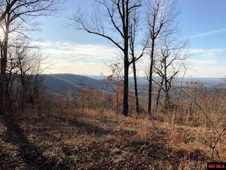000 Thousand Oaks Dr, Flippin, AR 72634