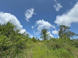 0 Hutson Morris Rd, Columbia, MS 39429