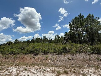 18136 NW 300th St, Okeechobee, FL 34972