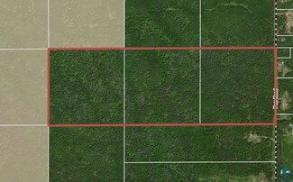 2075 Fors Rd, Silver Creek Township, MN 55616