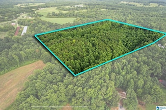 00 County Road 1152 Unit Acreage, Cullman, AL 35057