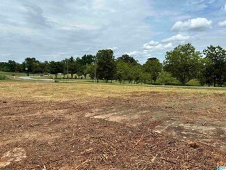 8988 Bagley Rd Unit 1, Dora, AL 35062
