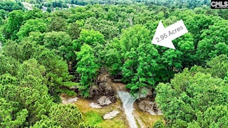 1021 Old Bush River Rd, Chapin, SC 29036