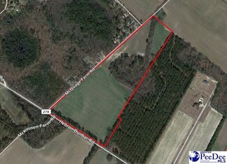TBD Hebron Dunbar Rd, Clio, SC 29525