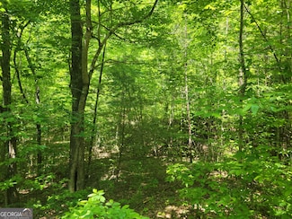 LOT 11,12 Mountain Laurel Estates, Young Harris, GA 30582