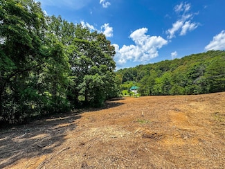 0 Island Cove Rd Unit 23824830, Rocky Top, TN 37769