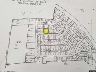 227 Leona Dr, Walker Lake, NV 89415