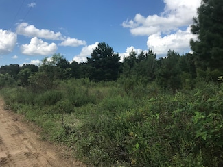 0 Ennis School Rd, Hiltonia, GA 30467
