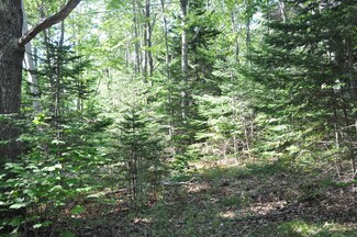 0 Martha Beck Dr Unit 1432135, Bristol, ME 04541