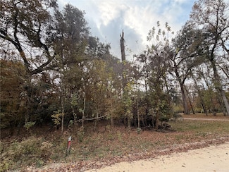 Lot 11 284th Terrace, Branford, FL 32008