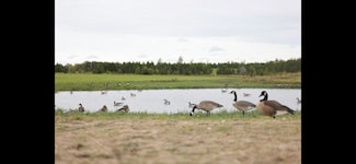 TBD Two Rivers Rd, Orwell Township, MN 56537
