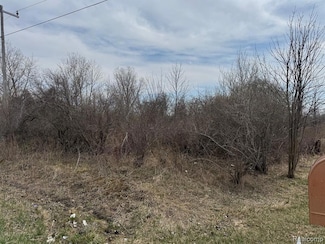 000 Metcalf Rd, North Street, MI 48049