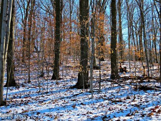 0 Monocacy Bottom Rd Unit 1001183329, Adamstown, MD 21710
