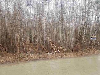 NHN Birch Knoll Rd, Fairbanks, AK 99712