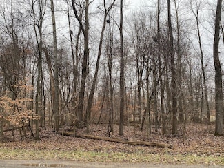 7326 State Route 19 Unit 9, Lot 2, Mount Gilead, OH 43338