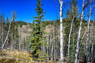 28 Idaho Ct, Jefferson, CO 80456