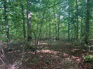 524 Scott Ridge Rd, Edmonton, KY 42129