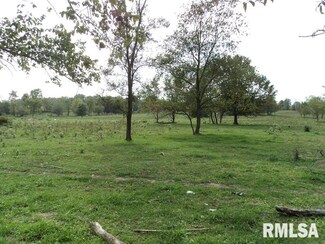 131 Garfield Rd, Haines Township, IL 62889