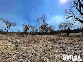 4 LOTS Elm Dr, Mill Creek, IL 62952