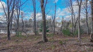 Lot #13-1 Shore Rd, Ellsworth, ME 04605