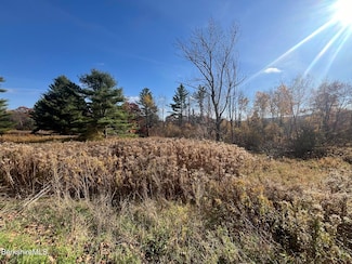 Parcel 2 Mohawk Trail, North Adams, MA 01247
