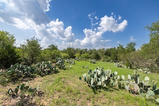 450 Green Acre Dr, Dale, TX 78616