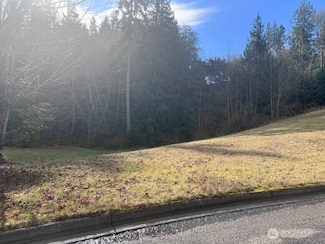 17 S Del Guzzi Dr, Port Angeles, WA 98362