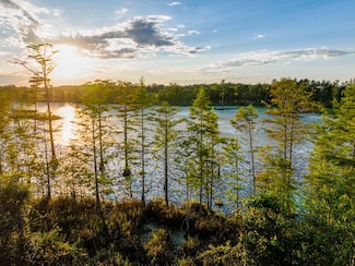 58 Acres E County Road 4, Hartford, AL 36344