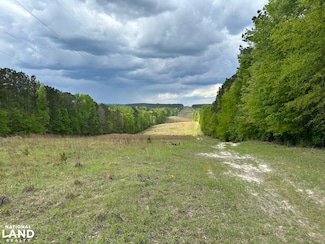 0 Ga Highway 57, McIntyre, GA 31054