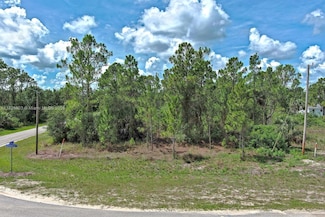 1246 Sentinela Blvd, Lehigh Acres, FL 33974