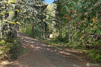 0 N Dow Ridge Rd Unit NWM2441900, Hoodsport, WA 98548