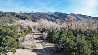 126 Cedar Ridge Rd, Mosca, CO 81146