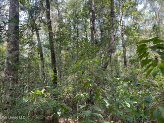 16509 Mcgregor Rd, Vancleave, MS 39565