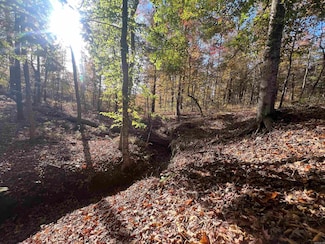 000 Sulphur Springs Rd, Pine Bluff, AR 71603