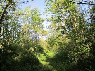 4166 Scott Rd, Keuka Park, NY 14478