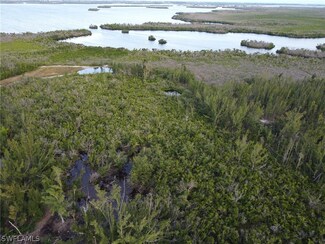12370 Sherwood Rd, Pine Island Center, FL 33922
