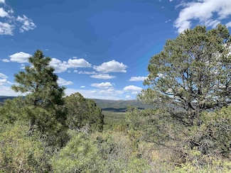 0 Norwood Dr Unit 1 169384, Timberon, NM 88350