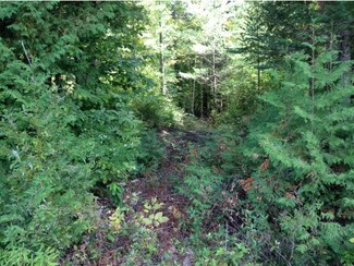 7 Coits Pond Rd, Cabot, VT 05647