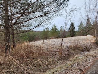 10586 Springville Boston Rd, Springville, NY 14141