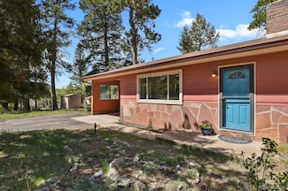 9359 Barnes Ave, Conifer, CO 80433
