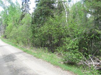 TBD Black Bear Trail, Ely, MN 55731