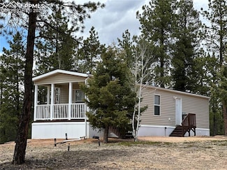 509 John Dr, Divide, CO 80814