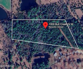 1000 W Bull Creek Dr, Perkinston, MS 39573