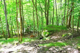 153 Hornbeam Rd Unit 115-B, Beech Mountain, NC 28604